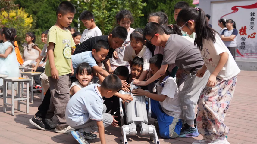 1748572161335527.png image.png